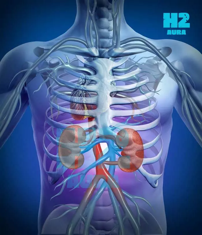 hydrogen water for kidney health