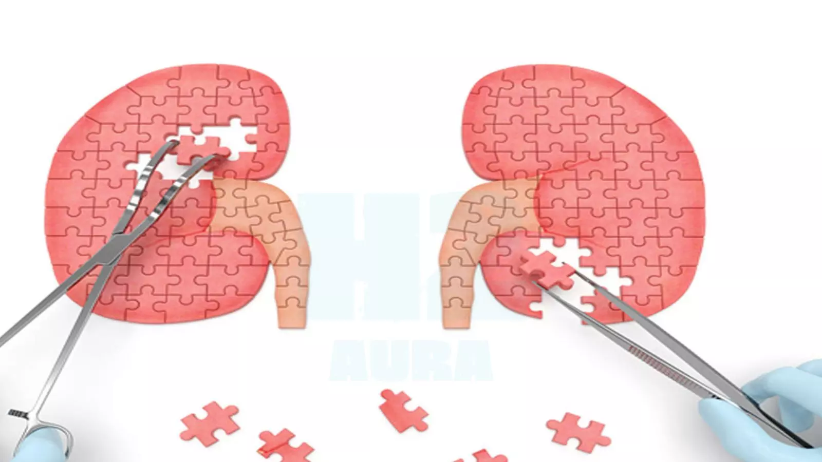 Is Hydrogen Water Good for Kidneys: Exploring the Facts